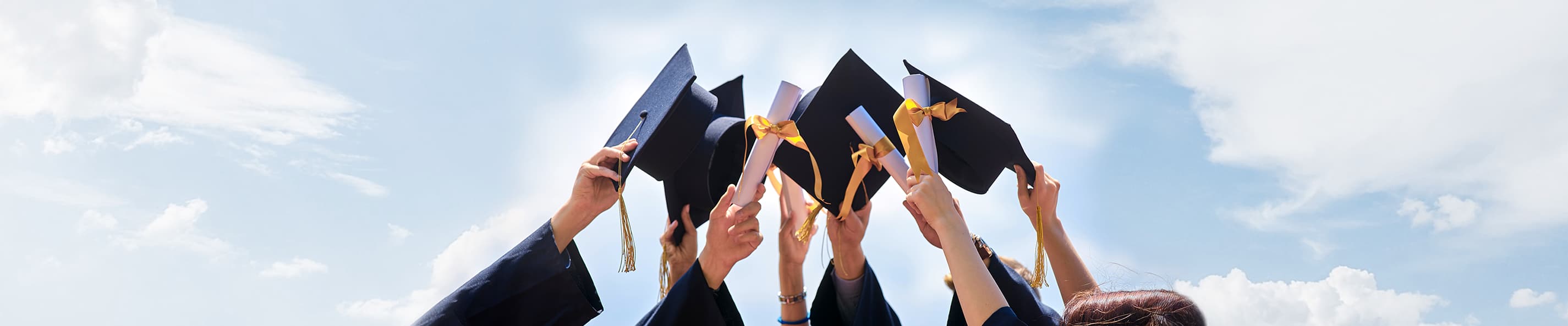 Our University Partners